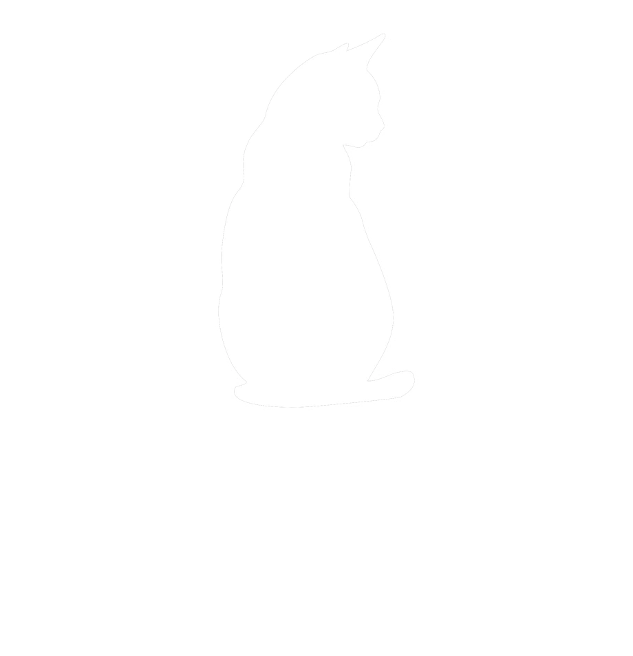 Nokkturnal Games